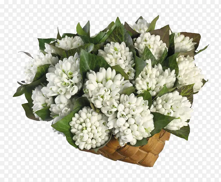 �����ɫװ��-������