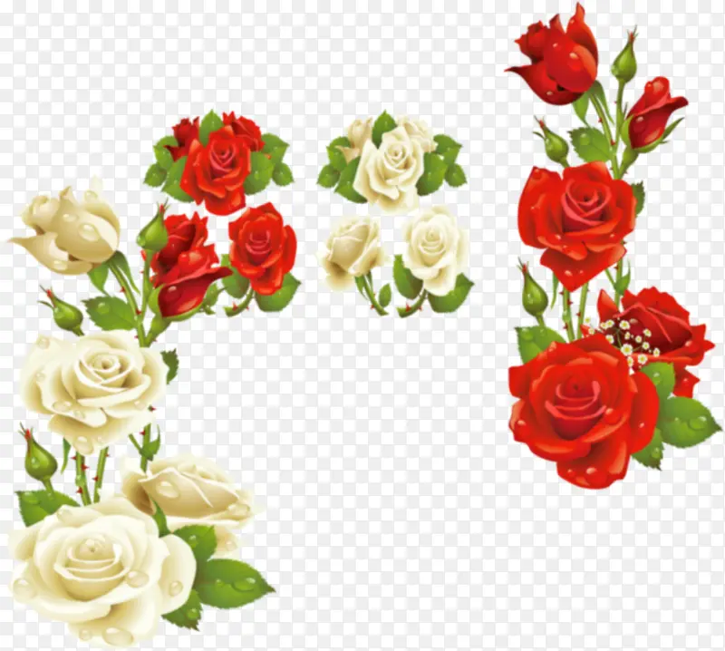 ��ɫ��ɫõ�廨��-������