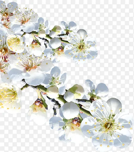 ��ɫΨ������-������