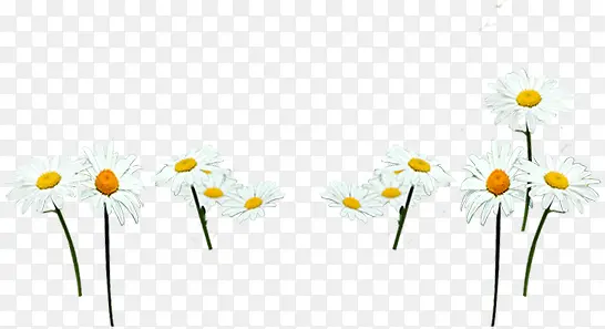 ��ɫ����ݵ�Ψ��-������