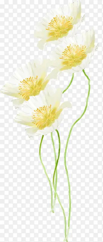 ��ɫˮ�ʻ�����-������