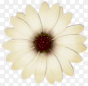 ��ɫ�ֻ��λû���-������