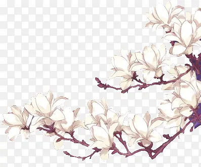 ��ɫ����ʻ�-������