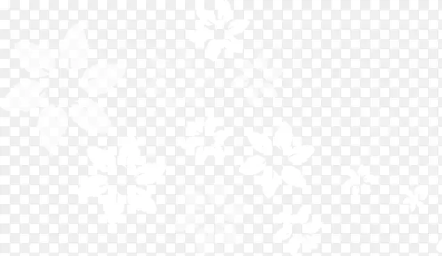 ��ɫΨ����ͨ����-������