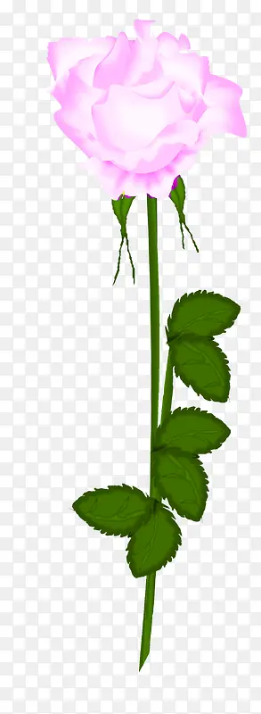 ˮ�ʰ�ɫ�����ɫõ�廨-������