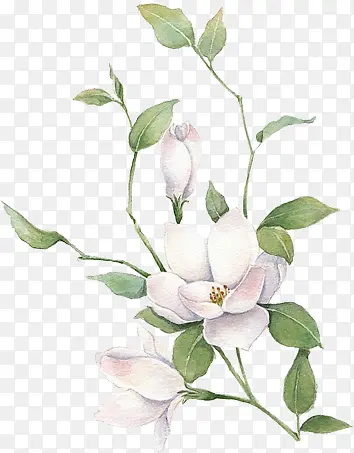 ��ɫΨ��װ�λ���-������