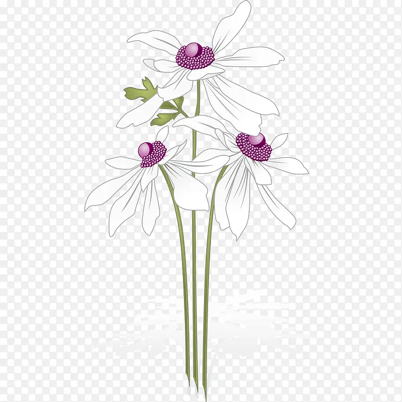 ��ɫ����-������