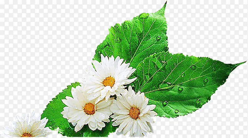 ��ɫ�ֻ���������-������