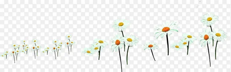 ��ɫ����ʱ��Ψ������-������