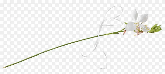 �����ɫ���仨֦-������