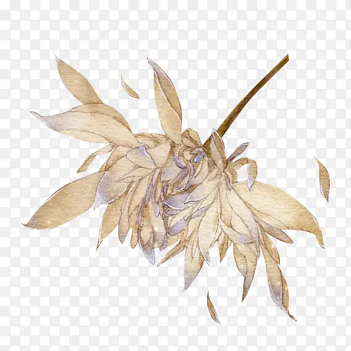 ��ɫ����-������