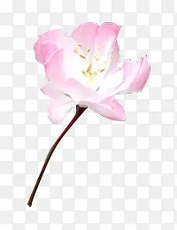 ��ɫ�������»���-������