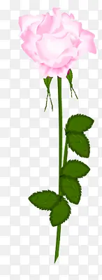 ��ɫõ�廨����-������