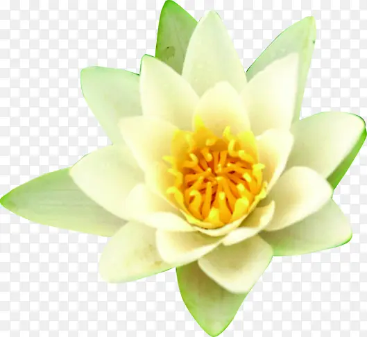 ��ɫˮ�ʻ������-������