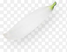 ��ɫ��ʽ��������-������