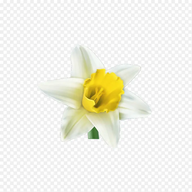 ����-������