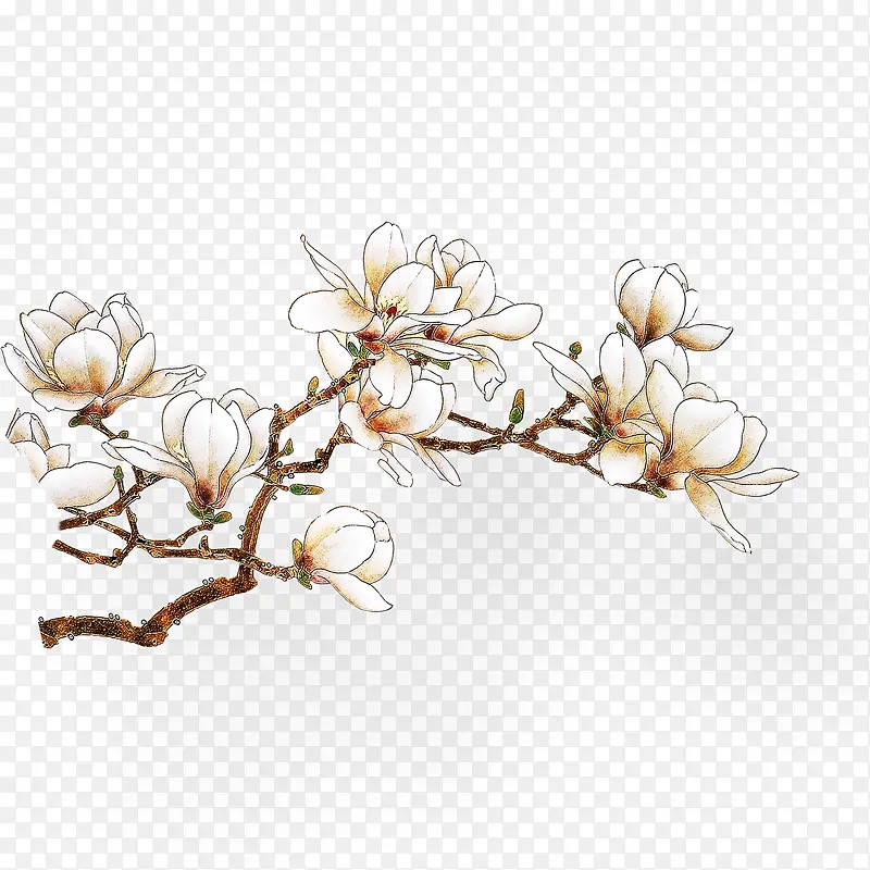 ��֦-������