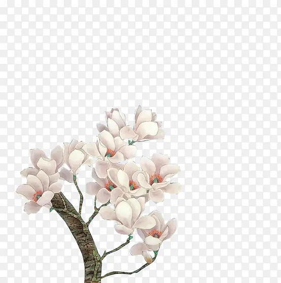 �۰�ɫ���ջ�����֦-������