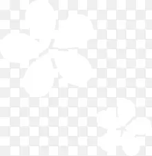 ����ɫ����װ��-������