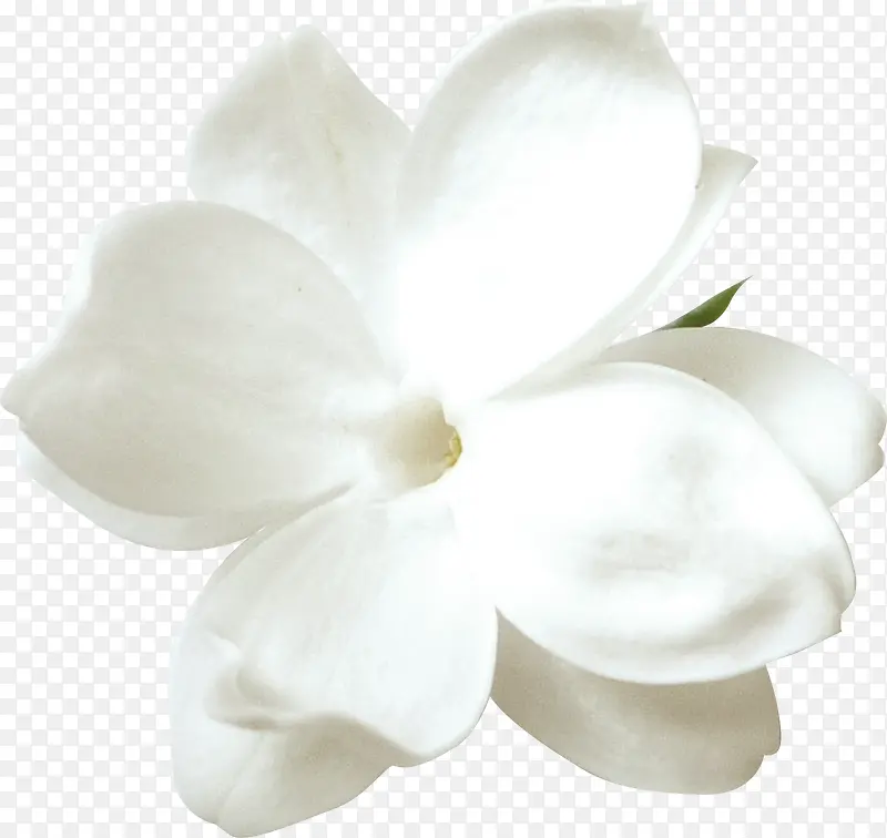 ��ɫ����-������