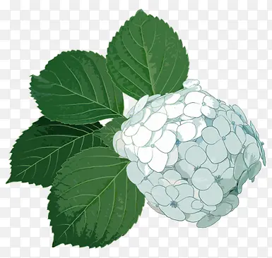 ��ɫʱ�л���ֲ���ֻ�-������