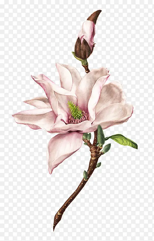 ��ɫ�����ɫ����-������