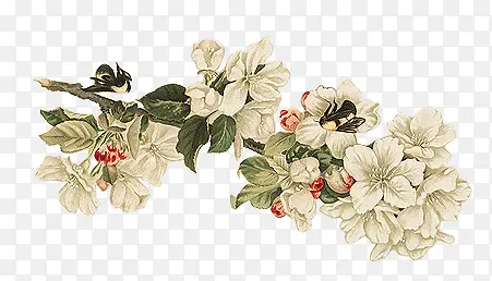 �ֻ渴�Ű�ɫ����-������