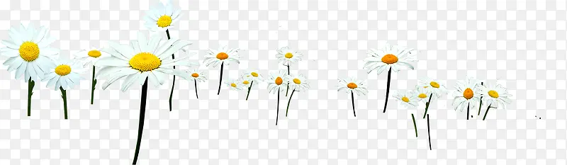 ��ɫ������ջ���-������