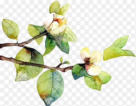 �ֻ��ɫ������-������