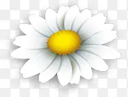 �ֻ��ɫ�������-������