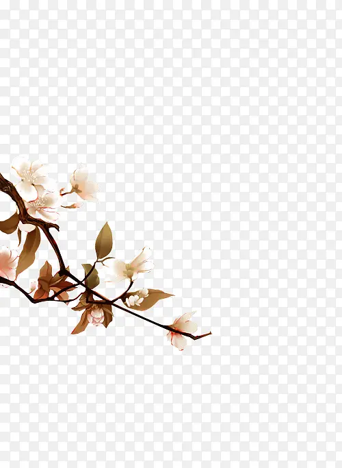 ��ɫ������ɫҶ����ɫ��֦-������