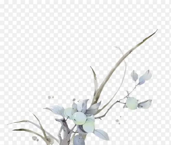 ˮ�ʰ�ɫ�����ɫ��ʵ-������