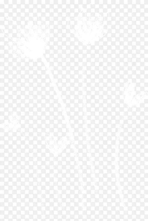 ��ɫ�����ֻ�����-������