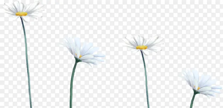 �����ɫ�λû���-������