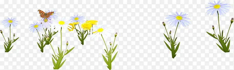 Ψ����ɫ��ͨ����-������