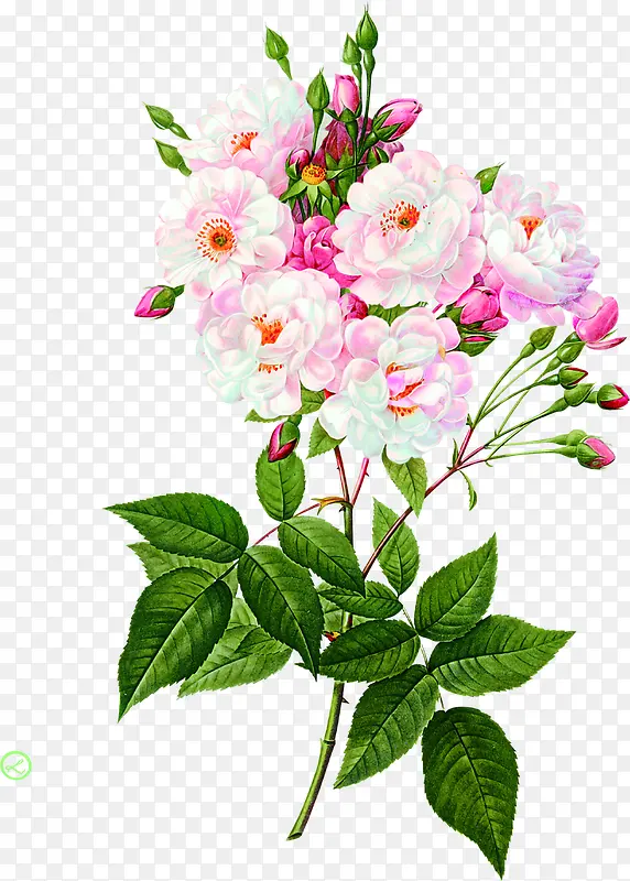 �ֻ��ɫ�������-������