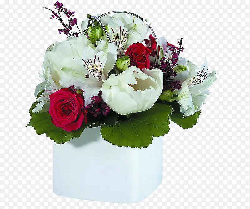 �����ɫ������Ҷ-������