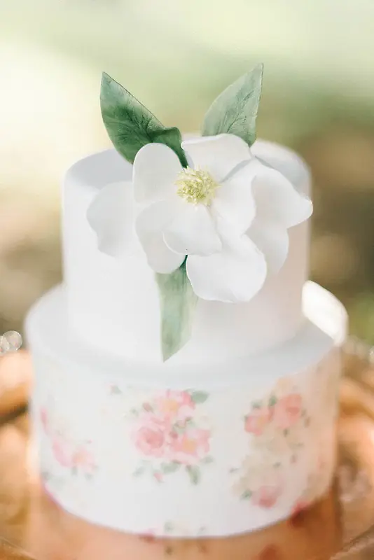 ��ɫ���俧������-������