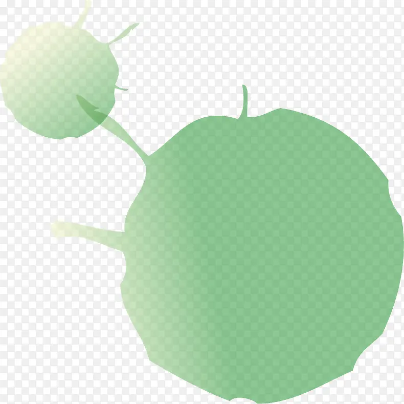 ˮ����īī��ī��-������