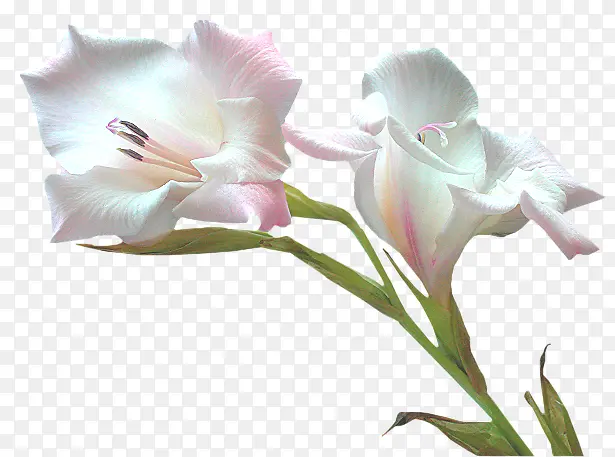 ˮī��ɫ����-������