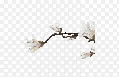 ��ɫ��֦����-������