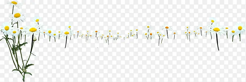 �����ɫΨ������-������