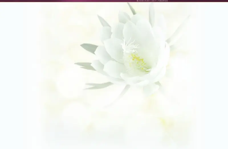 ��ɫ���令��Ʒ����-������