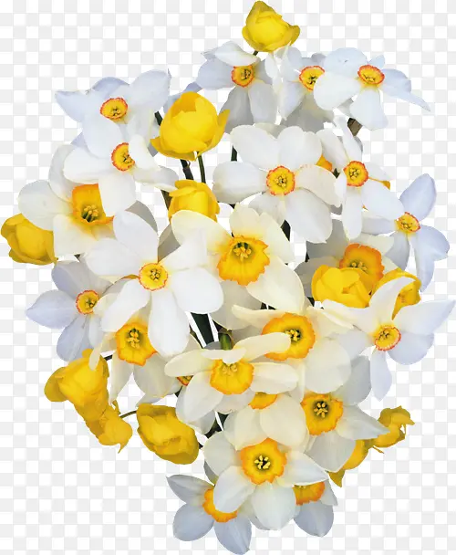 �ֻ��ɫ����͸��-������