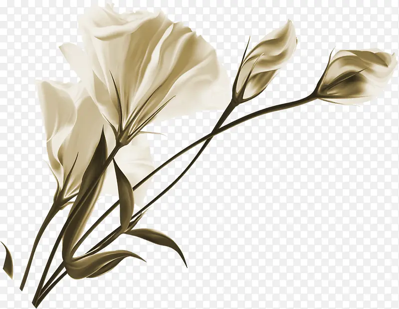 �ֻ��ʦ�ڰ�ɫ����-������