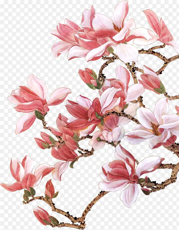 �ֻ��ɫ��ɫ����-������