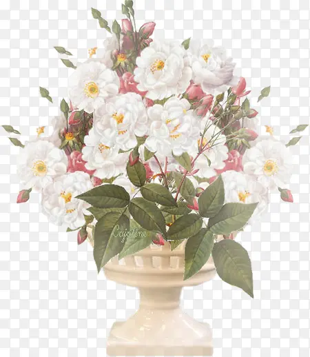 �ֻ�ˮ�ʰ�ɫ����-������