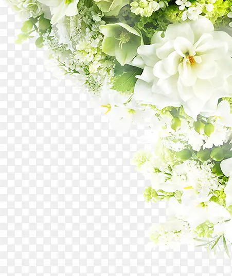 ��ɫ��׺С����Ҷ-������