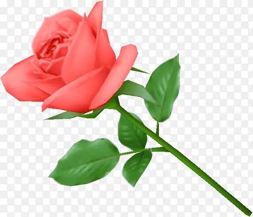 ��ɫõ�廨-������