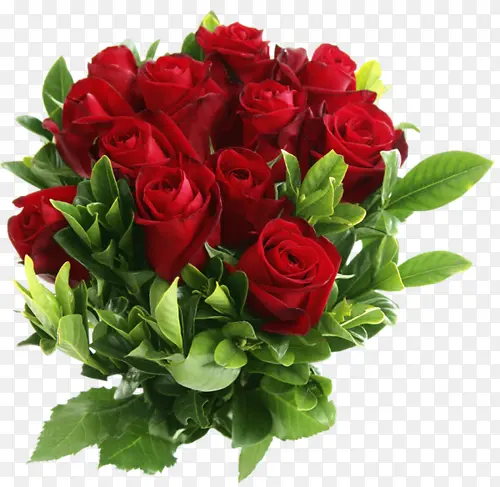 һ��õ�廨-������